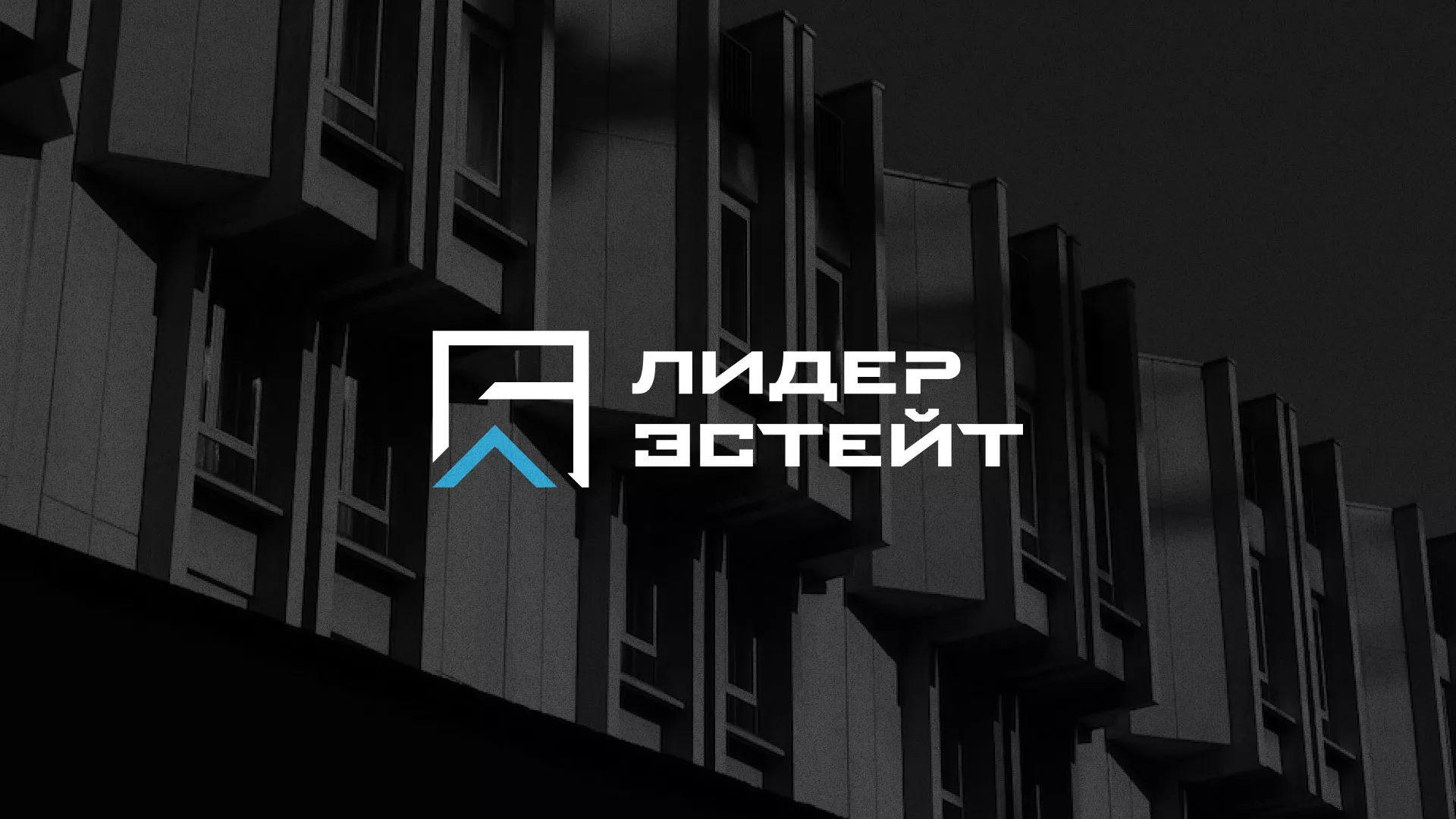 Разработка логотипа агентства недвижимости «Лидер Эстейт» в Лабинске